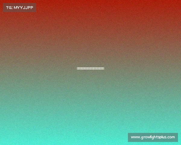 全国电子竞技运动员注册与交流管理办法