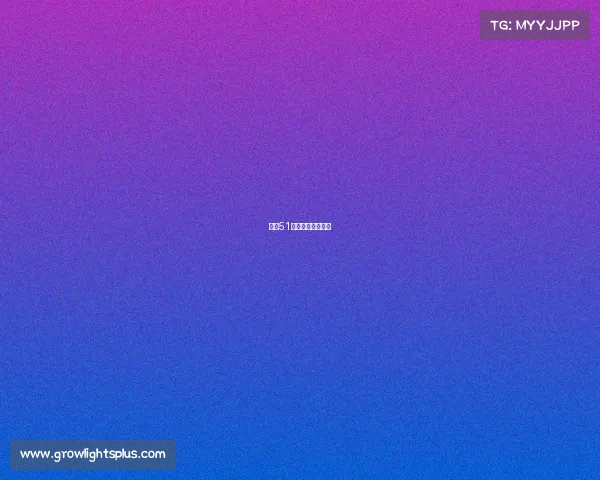 内江51区电竞俱乐部网咖