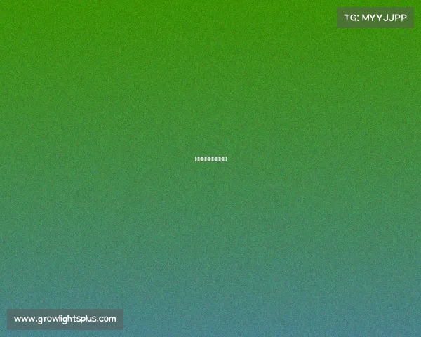 电子竞技产业的特性