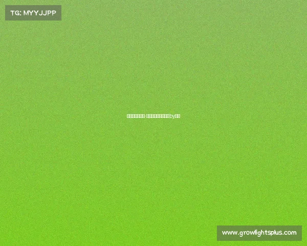 电子竞技无妹子-电子竞技没有女朋友by令哲