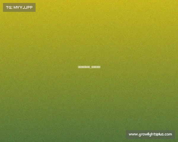 凉山电子竞技排名_乐山电竞比赛