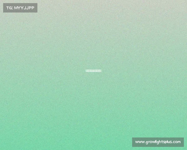 国家体育总局电竞协会