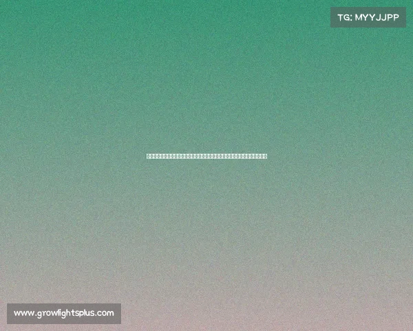 河南太真电子竞技俱乐部优惠团购、河南太真电子竞技俱乐部优惠团购是真的吗