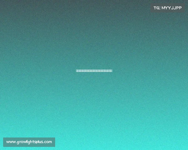 王者荣耀属于电子竞技吗王者荣耀属于电子竞技吗？