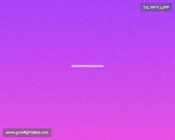 电竞叩响奥运大门：虚拟赛场或将迎来现实圣火火