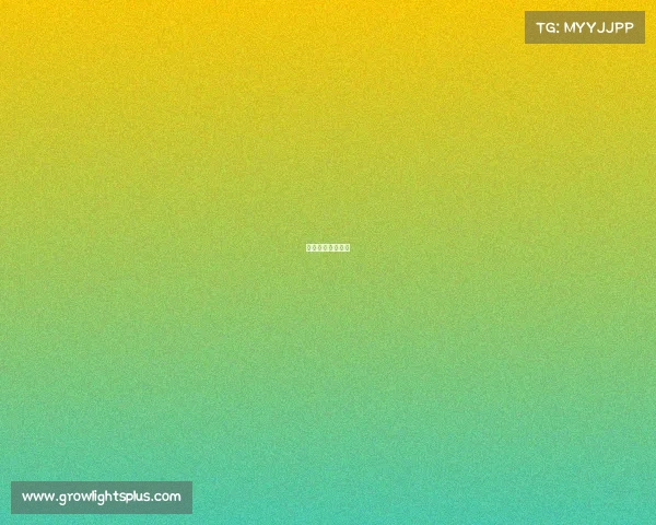 赤焰狼选什么技能